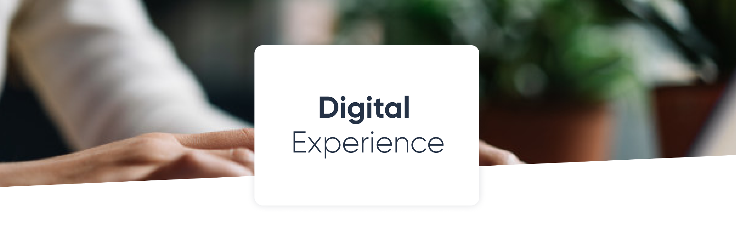 valores da marca na experiência digital