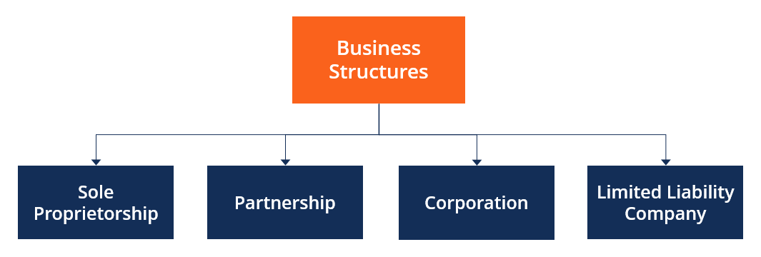 Options de structure d'entreprise